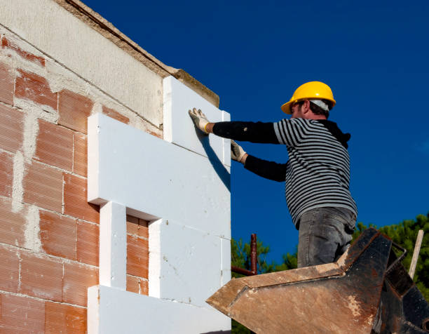 Best Insulation Removal  in Columbia, MS