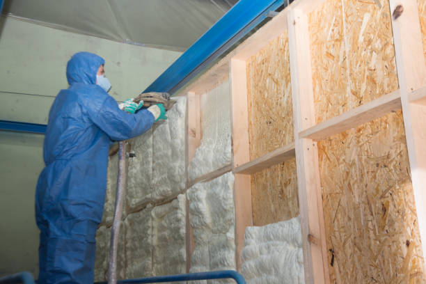 Best Insulation Contractor Near Me  in Columbia, MS